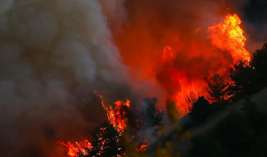 <h3>ORMAN YANGINLARIYLA MÜCADELEDE KAÇ ADET BAYRAKTAR TB2 GÖREV YAPIYOR?</h3><p>Baykar ve <strong>Haluk Bayraktar</strong>'dan peş peşe gelen bu açıklamaların ardından, orman yangınlarıyla mücadelede kullanılan İHA'lara ilişkin veriler merak konusu haline geldi. Peki, Baykar OGM'ye kaç adet İHA kiraladı? Orman yangınlarını söndürme çalışmalarında kaç Bayraktar İHA kullanılıyor? Bayraktar İHA'lar, orman yangınlarıyla mücadelede ne görev üsteniyor? İşte bu soruların cevabı... </p>