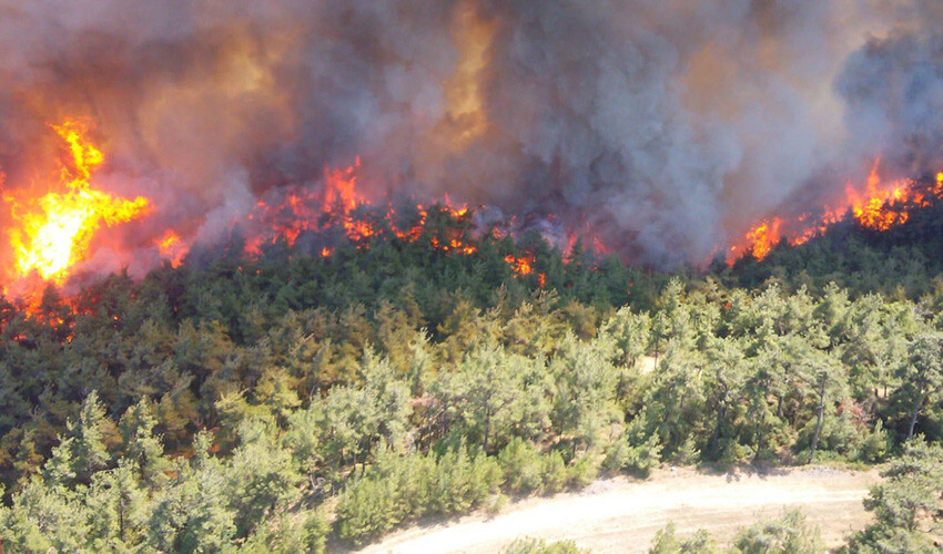 <p>Geçtiğimiz yıl 1 Haziran-15 Kasım 2022 tarihleri arasında OGM’nin verilerine göre <strong>Bayraktar TB2’ler tam 1109 yangını ilk anda tespit ederek</strong> Yeşil Vatan’ın korunmasına yönelik çok önemli hizmetler vermiştir.</p>