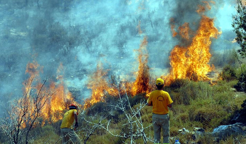 <h3>BAYKAR'DAN 'İHALE' AÇIKLAMASI</h3><p>Savunma sanayii şirketi, söz konusu haberlerdeki 'ihale' iddialarına yönelik de bilgi verdi. Baykar, imzalanan sözleşme bedelinin dünyadaki benzeri uçuş/saat ücretli hizmetlerin çok altında olduğunu, daha da önemlisi sözleşme içeriğindeki saatlik uçuş ücreti bu hizmeti veren en yakın muadilinin bile yaklaşık 3’te 1’i kadar olduğunu belirtti. </p>