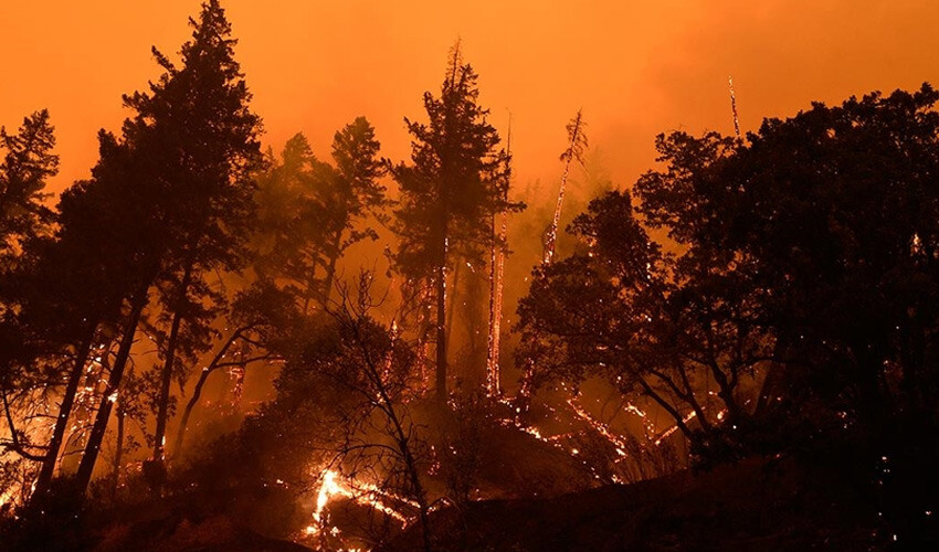 <h3><strong>İHA'LAR YANGIN SÖNDÜRMEDE NE İŞE YARIYOR? BAYKAR AÇIKLADI... </strong></h3><p>Baykar'ın paylaştığı verilere göre, Bayraktar TB2 İHA’ların her biri meteorolojik şartlar ve hava trafiğinin uygun olması durumunda günde en az 10 saat, 5 adet İHA ise toplamda günde en az 50 saat uçuş yaparak herhangi bir tehlikeye karşı ormanları gökyüzünden izlemekte. Büyük ölçekli orman yangınlarında ise uçuş görevi 24 saate kadar çıkabiliyor. Ayrıca tüm sürecin Baykar personelleri tarafından yürütüldüğü vurgulandı. </p>