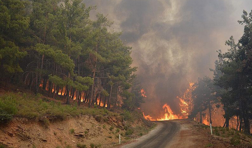 <p>Bunların yanı sıra Baykar 2021’de OGM’ye orman yangınlarıyla mücadele için gereken yüksek teknolojik altyapıyı da eksiksiz olarak kurmuştur.