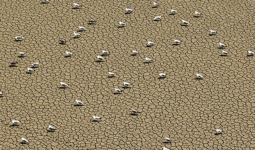 Barajlar alarm veriyor: Doluluk oranı son 9 yılın en düşük seviyesinde! Barajlar alarm veriyor: Doluluk oranı son 9 yılın en düşük seviyesinde!