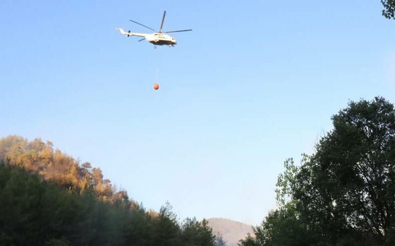 Sakarya korkutan orman yangını: Alevler kısa sürede büyüdü! Sakarya korkutan orman yangını: Alevler kısa sürede büyüdü!