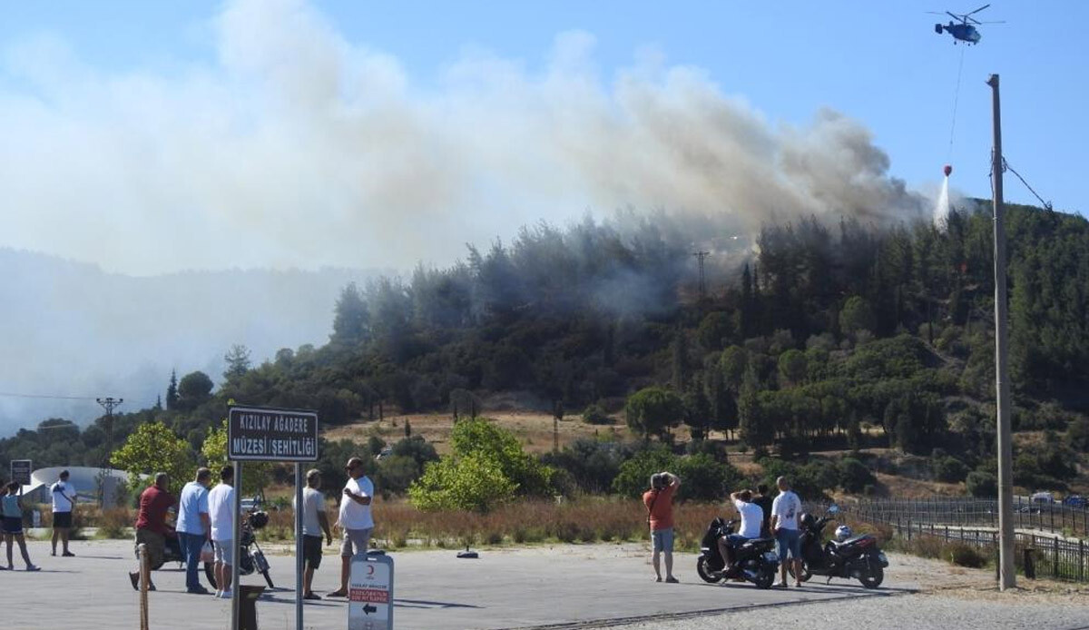 Çanakkale Eceabat&#039;taki orman yangını kontrol altına alındı