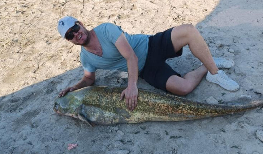 Barajda balık tutarken oltalarına takıldı: 2 metrelik balığı görünce hayrete düştüler