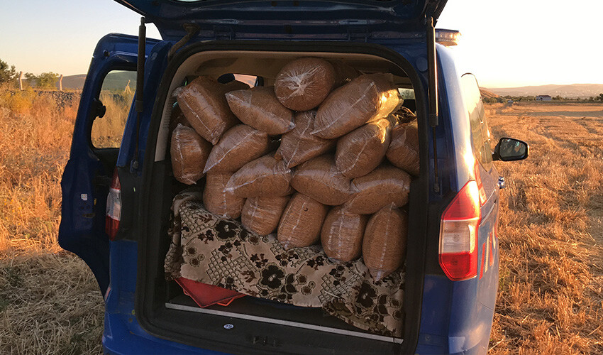 Aracına tren çarptı, o canına değil taşıdığı kaçak tütünün derdine düştü