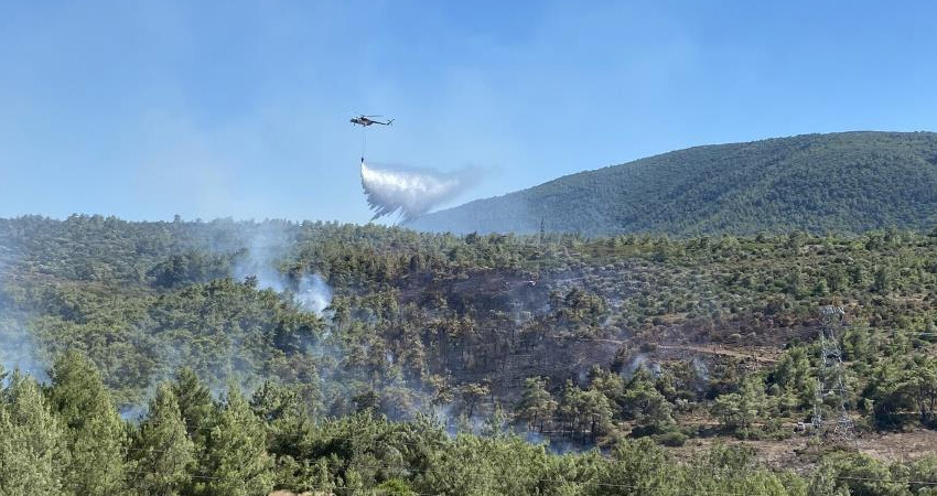 İzmir'deki orman yangınları kontrol altına alındı İzmir'deki orman yangınları kontrol altına alındı