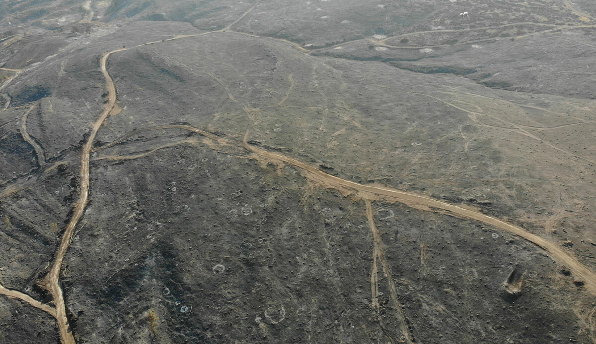 Çanakkale’de 52 saatlik yangının acı tablosu: 3 bin 500 futbol sahası büyüklüğünde alan yandı