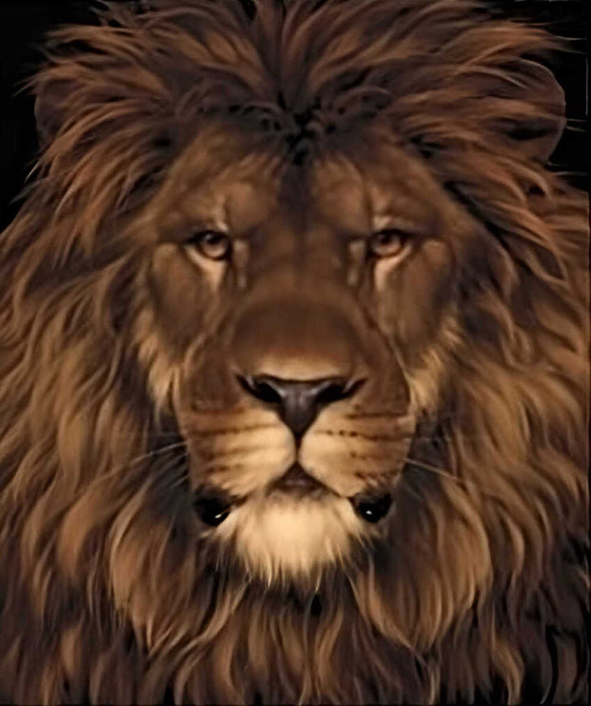 5 saniyeniz var… Görselde gizli hayvanı bulan ‘süper zeki’ çıkıyor