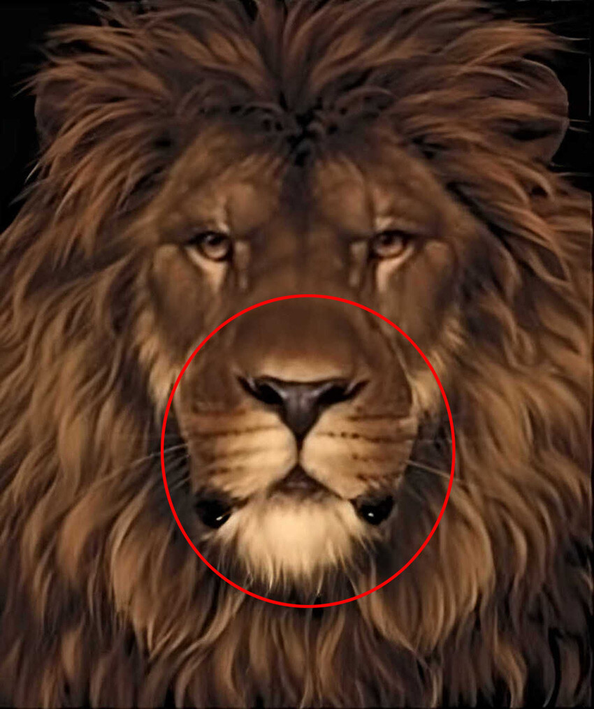 5 saniyeniz var… Görselde gizli hayvanı bulan ‘süper zeki’ çıkıyor