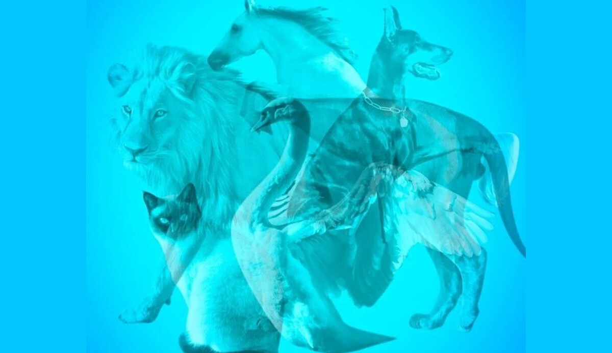 İlk ne gördün? Cevabın kişiliğinizin gizli yönleri ortaya çıkaracak