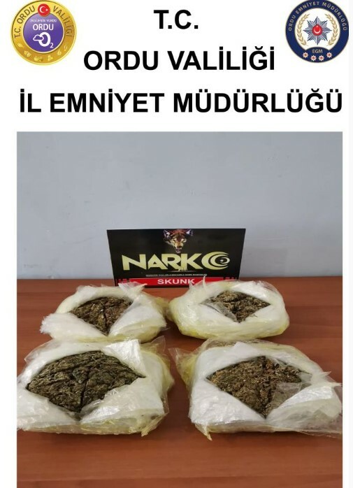 Ordu’da uyuşturucu operasyonu! 3 şüpheli gözaltına alındı Ordu- skunk- uyuşturucu