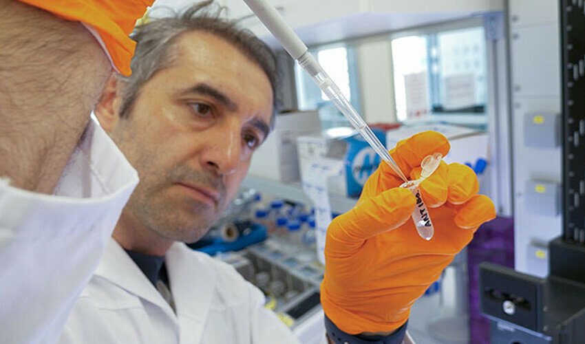 kanser çalışmaları