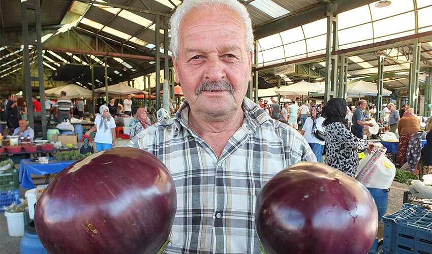 Karpuz büyüklüğünde patlıcanlar ilgi odağı oldu: Tam tamına 1 kilo Karpuz büyüklüğünde patlıcanlar ilgi odağı oldu: Tam tamına 1 kilo
