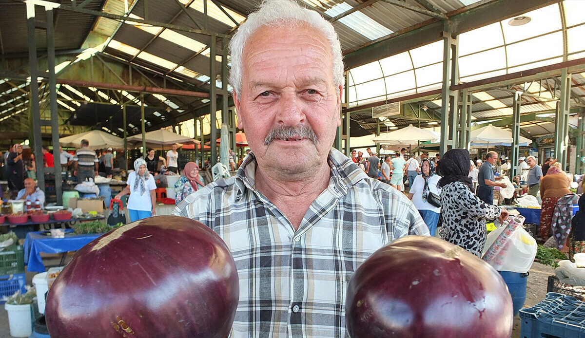 Karpuz büyüklüğünde patlıcanlar ilgi odağı oldu: Tam tamına 1 kilo