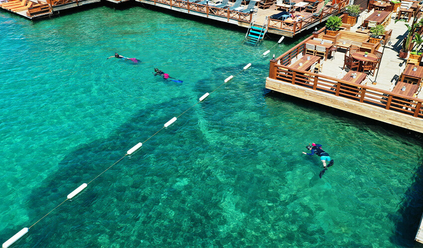 Denizin dibinden çıkanlar görenlere yok artık dedirtti! Telefon bile çıktı Denizin dibinden çıkanlar görenlere yok artık dedirtti! Telefon bile çıktı