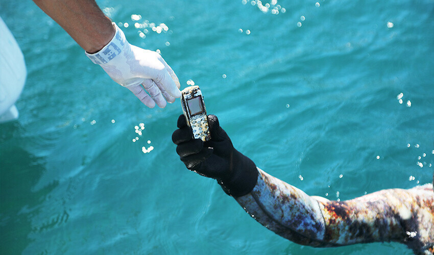 Denizin dibinden çıkanlar görenlere yok artık dedirtti! Telefon bile çıktı Denizin dibinden çıkanlar görenlere yok artık dedirtti! Telefon bile çıktı