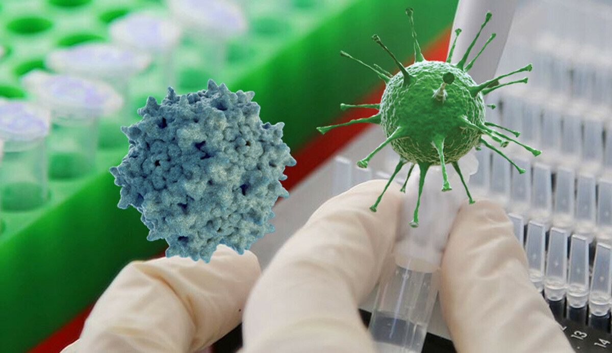 Yasa dışı laboratuvardan çıkanlar yetkilileri alarma geçirdi: Koronavirüs, hepatit, HIV ajanları bulundu