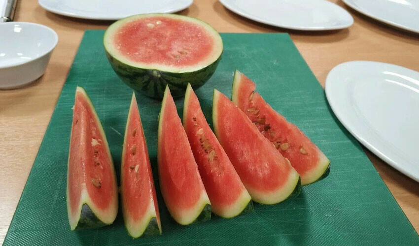 Rus bilim insanlarının Antarktika'da ne yetiştirdiğine inanamayacaksınız!