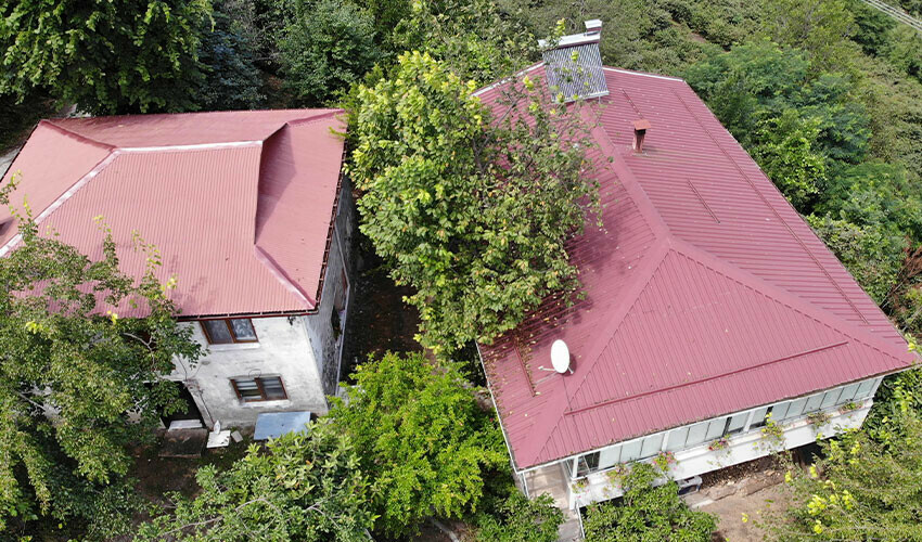 Baba yadigarı ağacı kesmeye gönlü el vermedi, evini ona göre inşa etti