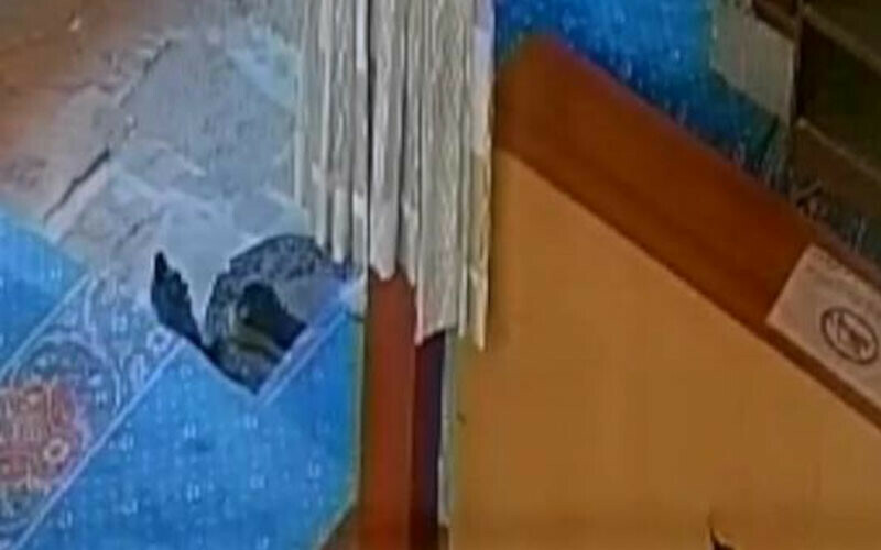 ‘Düşünceli hırsızlar’ kamerada: Halı kirlenmesin diye ayakkabılarını çıkardılar ‘Düşünceli hırsızlar’ kamerada: Halı kirlenmesin diye ayakkabılarını çıkardılar