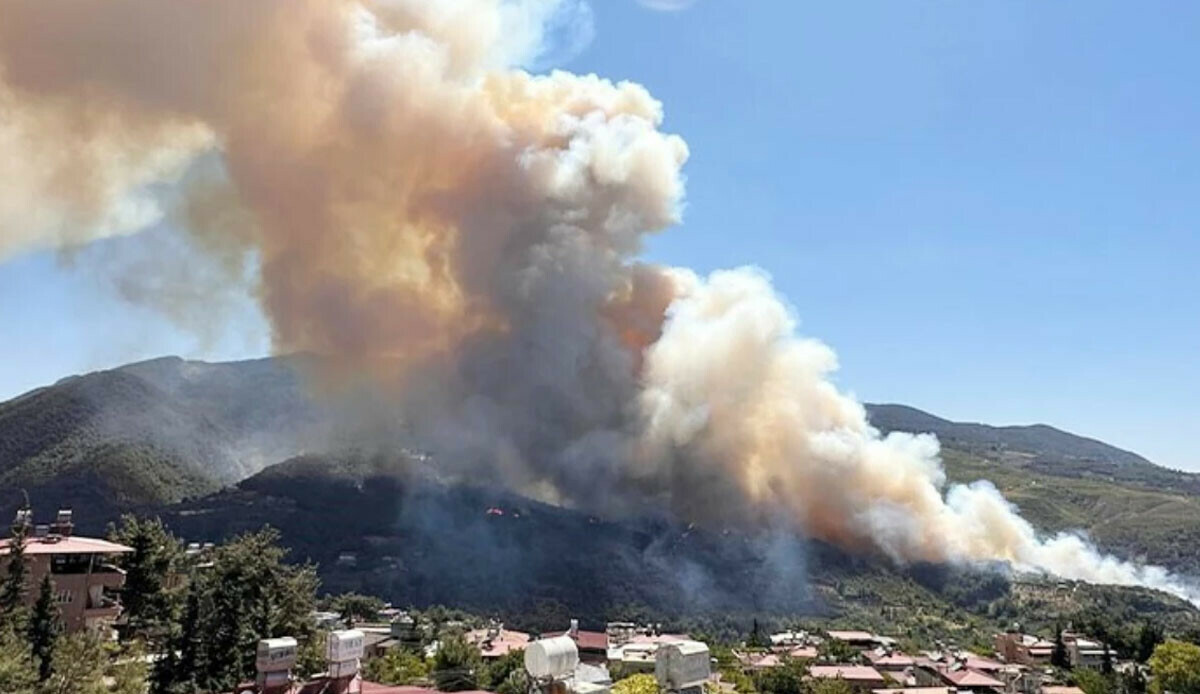 Hatay'da korkutan orman yangını! Hatay'da korkutan orman yangını!
