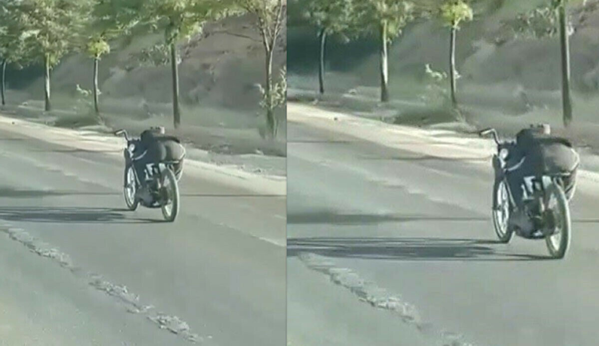 Sosyal medya beğenisi için tehlikeli yolculuk Sosyal medya beğenisi için tehlikeli yolculuk