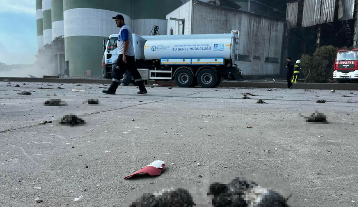 Kocaeli&#039;deki patlamanın ardından çekildi... Onlarca kuş telef oldu!