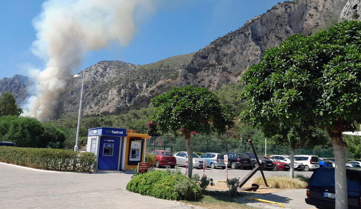 Milas&#039;ta korkutan orman yangını: Havadan ve karadan müdahale başladı