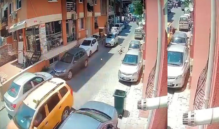 Taksici maddi hasarlı kazadan kaçmak istedi: Ölüme sebep oldu