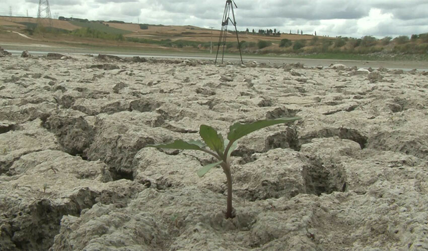 Sazlıbosna Barajı için tehlike çanları çalıyor: Kuruma noktasına geldi