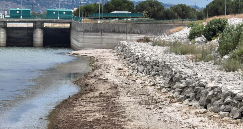 Büyükçekmece Gölü'nde alarm verildi! Ortaya çıkmaya başladılar: Görüntüler endişe verici