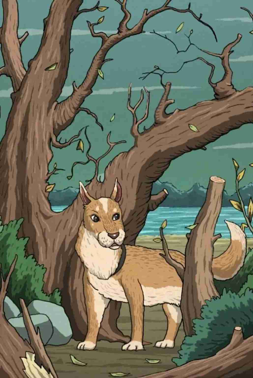 Zekayı ölçen test: Gizli kediyi 13 saniyede bulan ‘dahi’ olarak adlandırılıyor Zekayı ölçen test: Gizli kediyi 13 saniyede bulan ‘dahi’ olarak adlandırılıyor