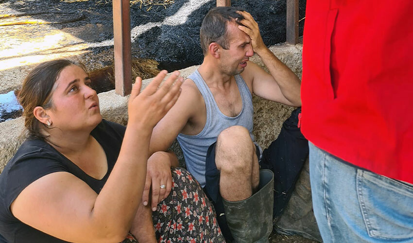 Ahırda çıkan yangın büyük zarara neden oldu: Hayvan sahipleri gözyaşlarını tutamadı Ahırda çıkan yangın büyük zarara neden oldu: Hayvan sahipleri gözyaşlarını tutamadı
