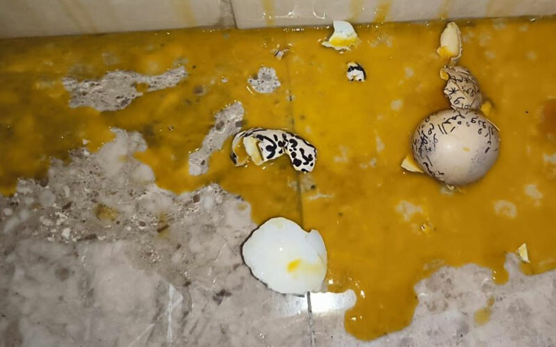 Kiracıya yumurtalı saldırı: Üzerine Arapça beddua yazdılar Kiracıya yumurtalı saldırı: Üzerine Arapça beddua yazdılar
