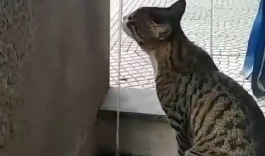 Böyle sıcak görülmedi: Telefonlar uyarı verdi, çalışmaz hale geldi