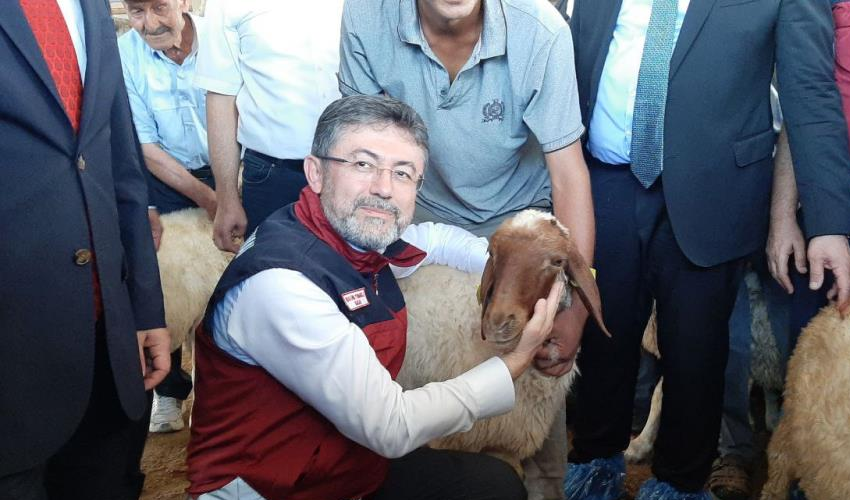Bakan Yumaklı, depremzede üreticilere küçükbaş hayvanları elleriyle teslim etti