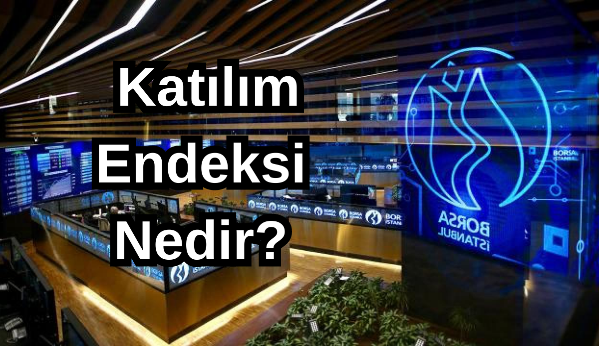 Katılım endeksi ve katılım endeksine uygun değildir ne demek?