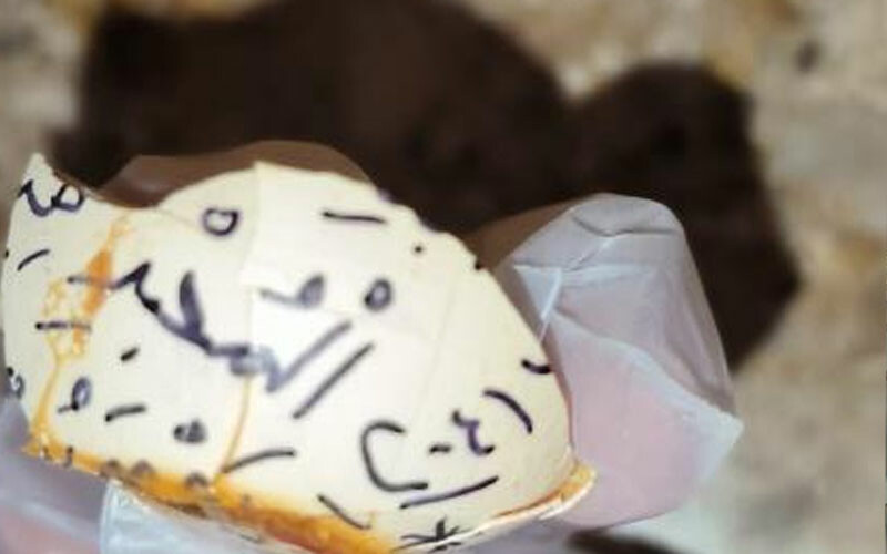 Kiracıya yumurtalı saldırı: Üzerine Arapça beddua yazdılar Kiracıya yumurtalı saldırı: Üzerine Arapça beddua yazdılar