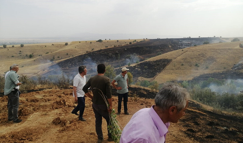 Traktörden sıçrayan yangın herkesi korkuttu, arı kovanları küle döndü Traktörden sıçrayan yangın herkesi korkuttu, arı kovanları küle döndü