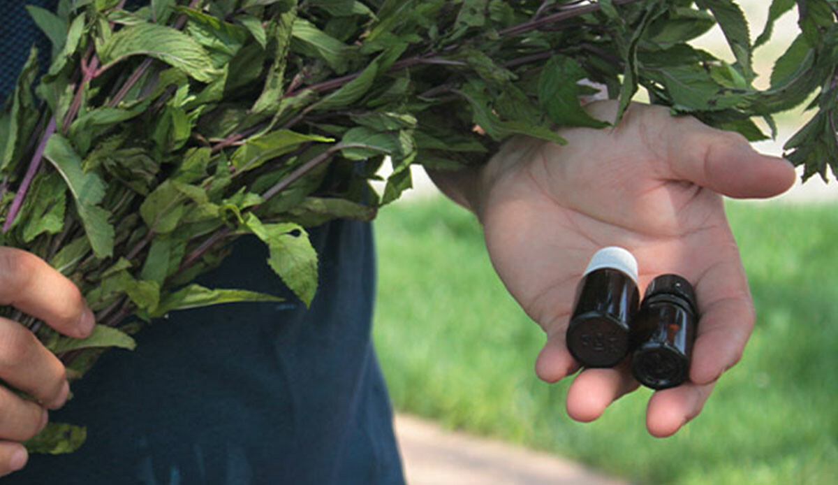 Ordu’da tek üretim merkezi var… Litresini 35 bin liradan satıyorlar: 25 hastalığa şifa oluyor!