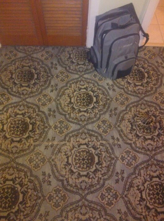 Optik illüzyon: Kaplumbağa nerede?