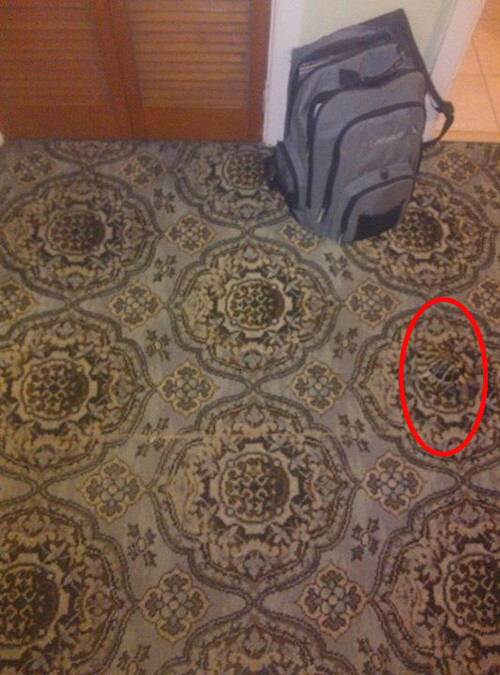 Optik illüzyonun cevabı...