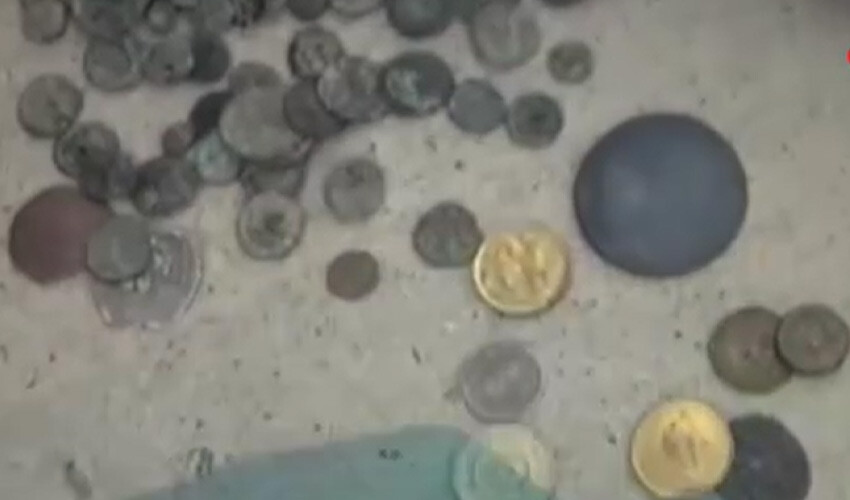 Kaçakçılara yapılan operasyonda garip olay: Timsah kafası bulundu