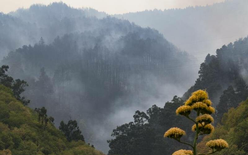 İspanya’da kontrol edilemeyen yangın: 26 bin kişi tahliye edildi
