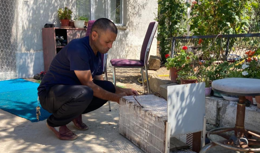 Bir Ankara efsanesi! 'Son yılan bükücü' 6 yaşından beri yılan yakalıyor, herkesin yardımına koşuyor