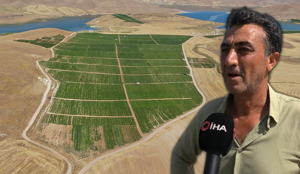 Tarlada 4, pazarda 15, markette 30 lira! Üretici vatandaşa seslendi: Gelin buradan alın...