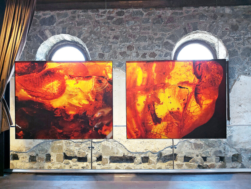 ‘Kültür Yolları’ Karadeniz’e çıktı