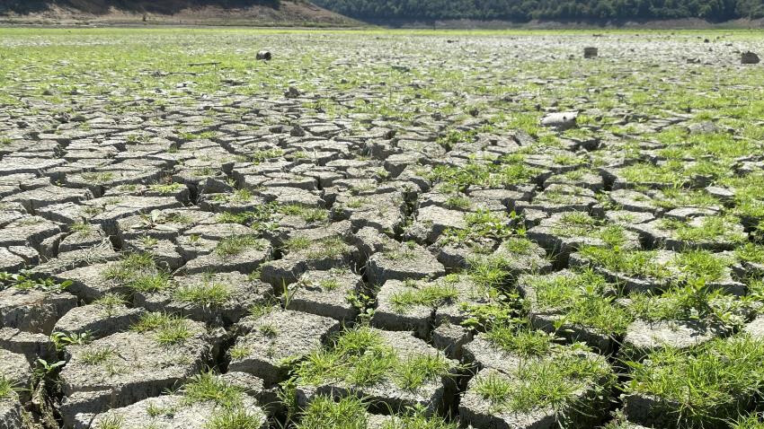 Alibeyköy Barajı'nı besleyen göletin içler acısı hali: Derin çatlaklar oluştu