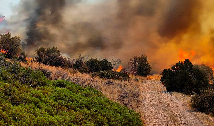 Yunanistan'da yanan Türk köylerinin kaderine terk edildiği iddiası